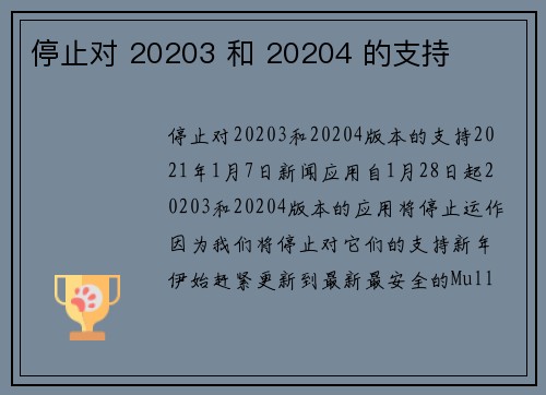 停止对 20203 和 20204 的支持 